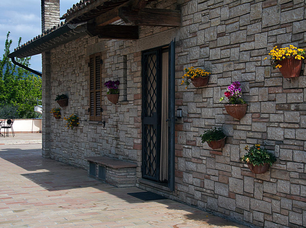 B&B Colle San Francesco Ассізі Екстер'єр фото